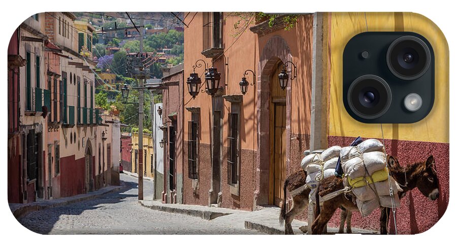 Animal iPhone Case featuring the photograph Mexico, San Miguel De Allende #99 by Jaynes Gallery