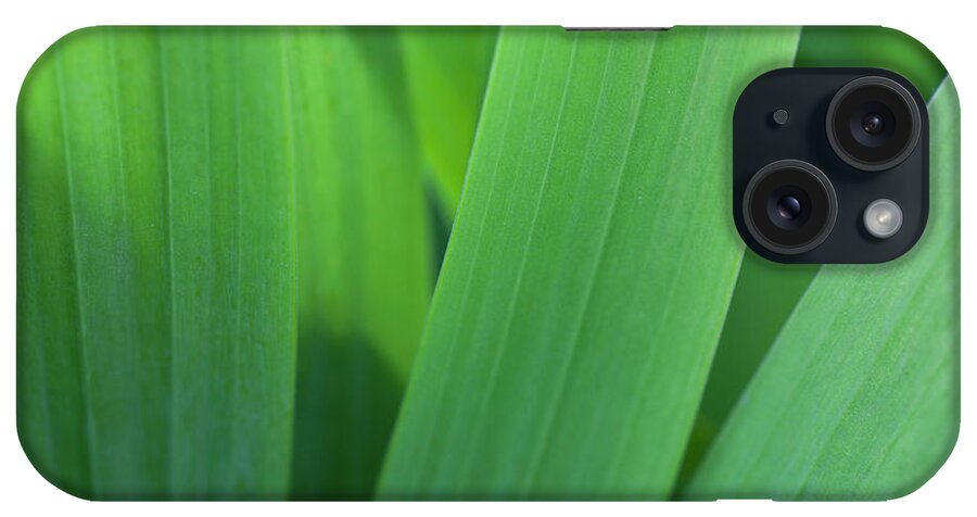 Grass iPhone Case featuring the photograph A Background Of Green Leaves by Huchen Lu