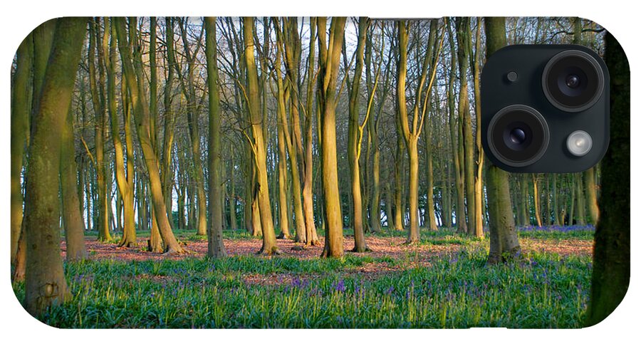 Badbury Clump Bluebells Woods Evening Sun Oxfordshire iPhone Case featuring the photograph A Badbury Clump Evening by Richard Gibb