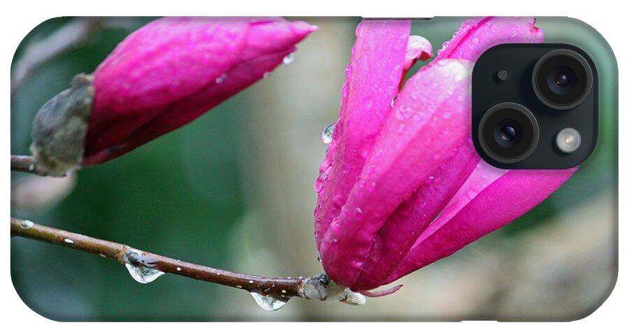 Flower iPhone Case featuring the photograph A Beautiful Rainy Morning by Suzanne Gaff