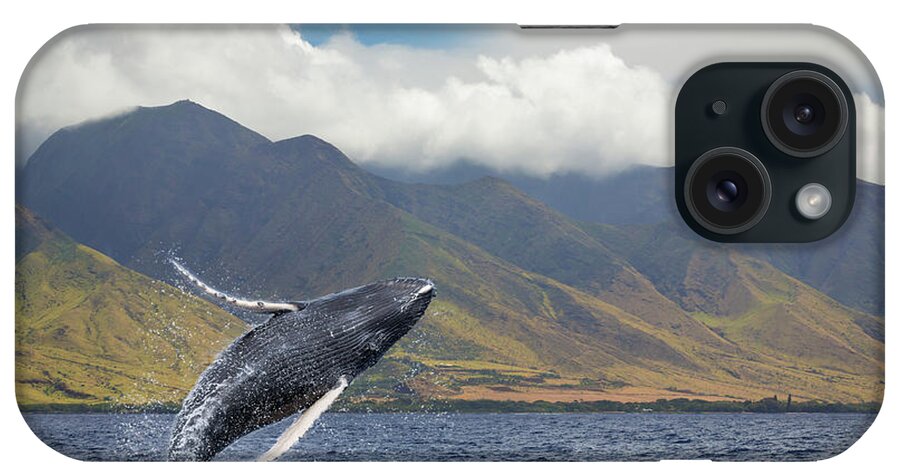 Animals In The Wild iPhone Case featuring the photograph A Breaching Humpback Whale Megaptera by Dave Fleetham