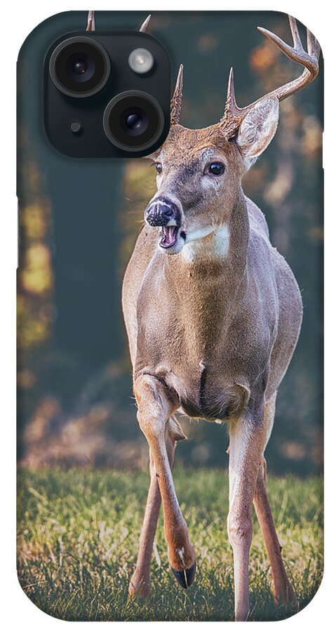 Buck iPhone Case featuring the photograph A Buck From The Shadows by Bill and Linda Tiepelman