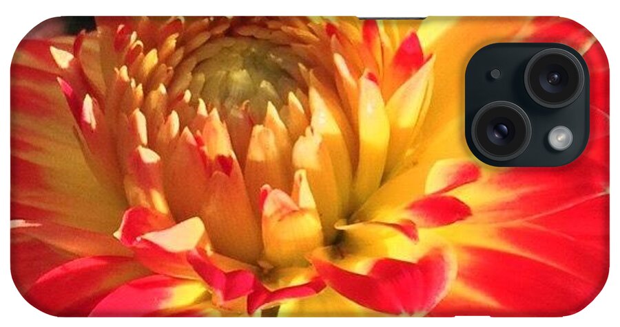 Orange iPhone Case featuring the photograph A Burst Of Fall Color by Anna Porter