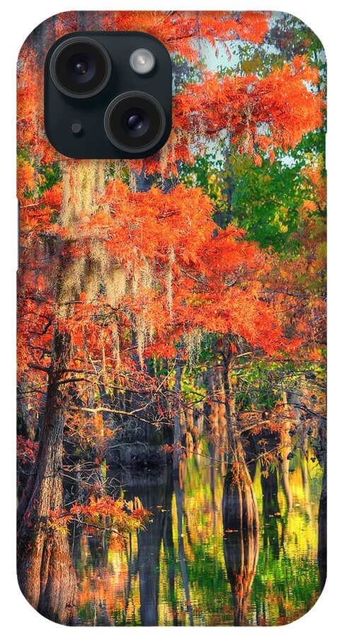 Autumn iPhone Case featuring the photograph A Change of Colors by Ester McGuire