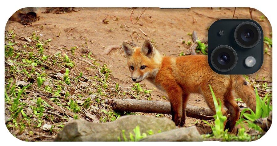 Red Foxes iPhone Case featuring the photograph A Day At the Den by Thomas Young