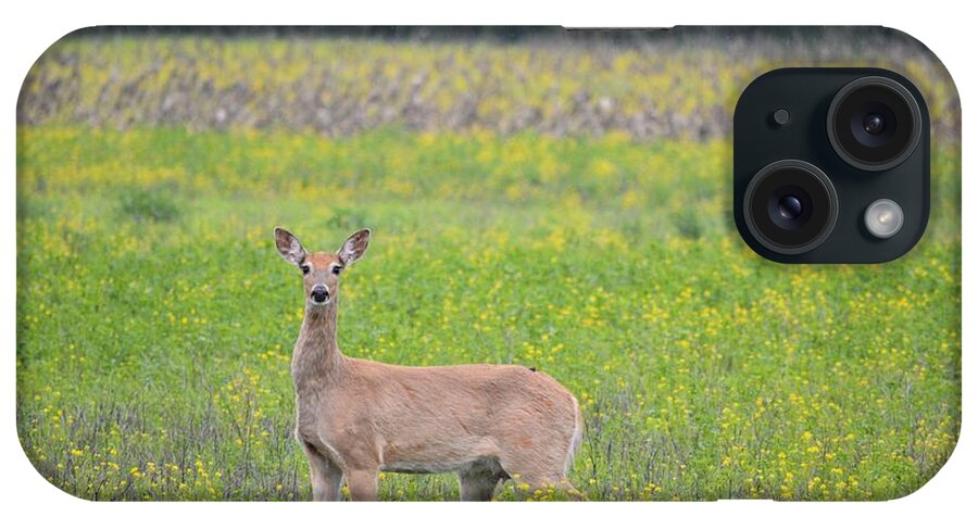 Doe iPhone Case featuring the photograph A Doe A Deer by Bonfire Photography
