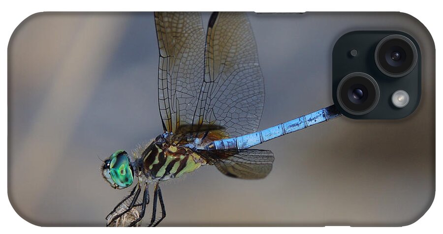 Dragonfly iPhone Case featuring the photograph A Dragonfly IV by Raymond Salani III