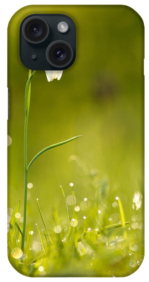 Bokeh iPhone Case featuring the photograph A Fairies' Place III _Snake's head fritillary by Roeselien Raimond