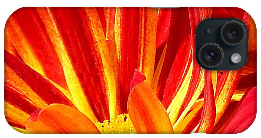 New Orleans Photography iPhone Case featuring the photograph A Fusion Of Spring by Michael Hoard