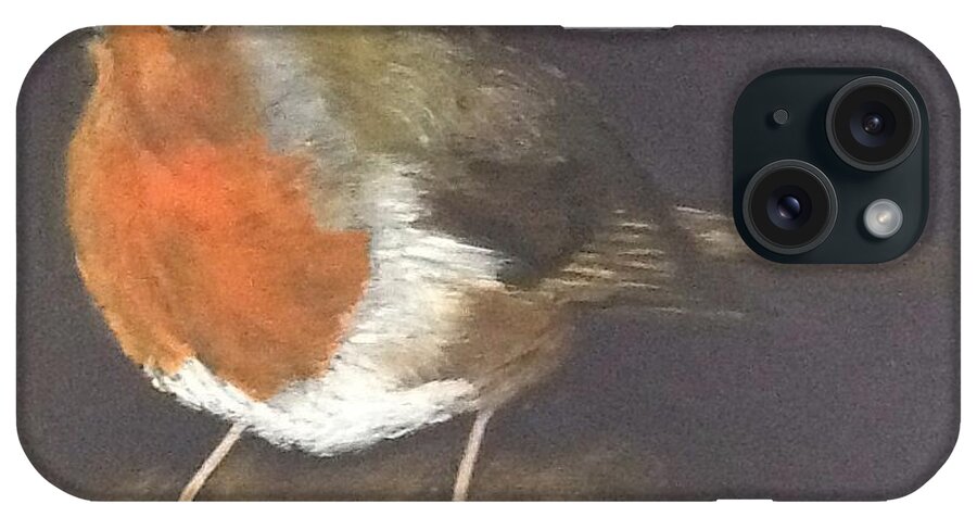 Robin iPhone Case featuring the painting A Garden Friend by Carole Robins