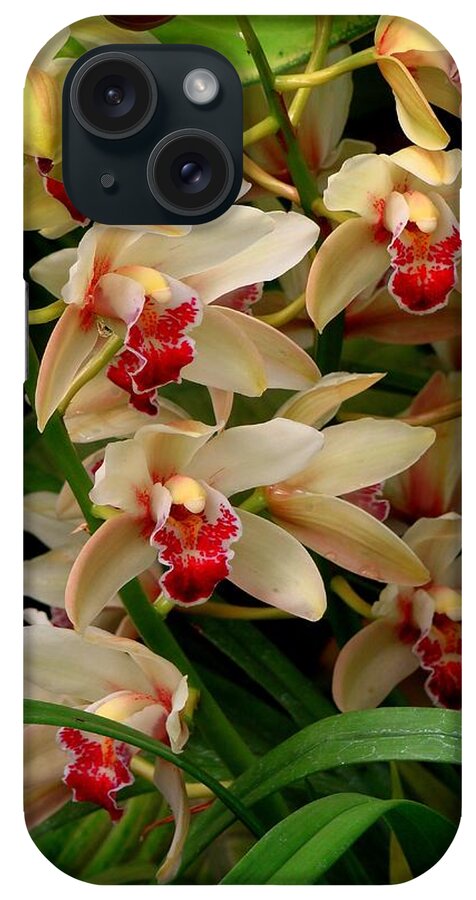 Orchids iPhone Case featuring the photograph A Gathering by Rodney Lee Williams