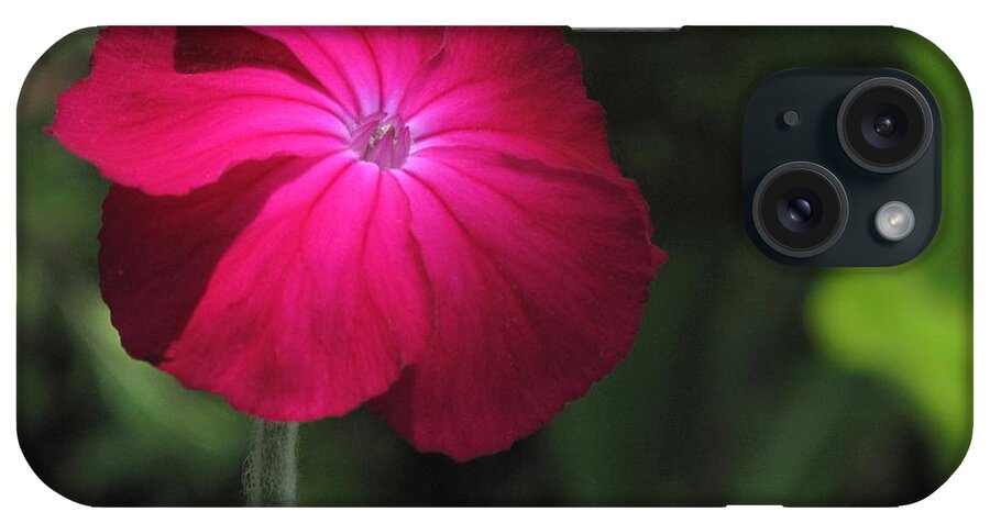 Flowers iPhone Case featuring the photograph A Gentle Moment by Derek Dean