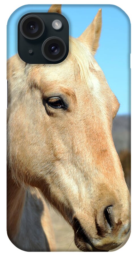Horse iPhone Case featuring the photograph A Gentle Soul by Lori Tambakis