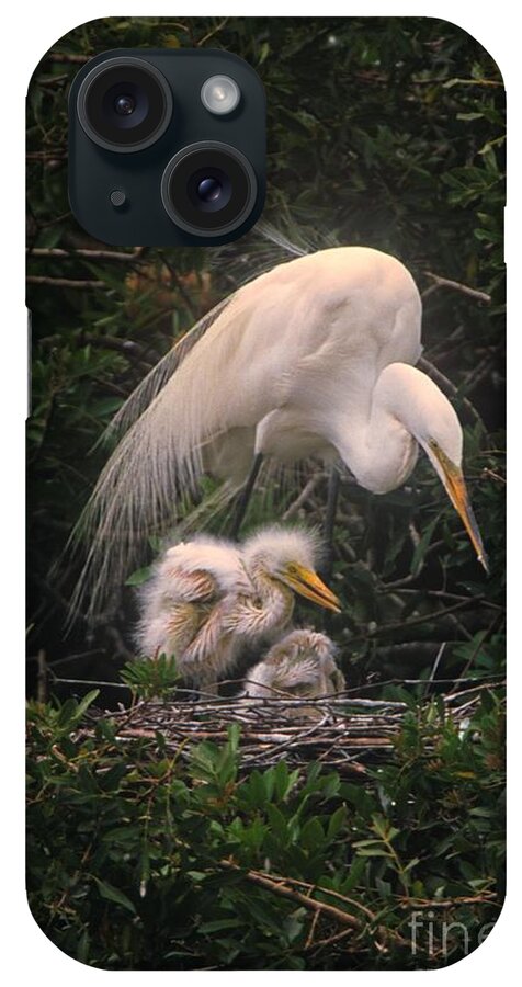 Egret iPhone Case featuring the photograph A Great Egret with Chicks by John Harmon