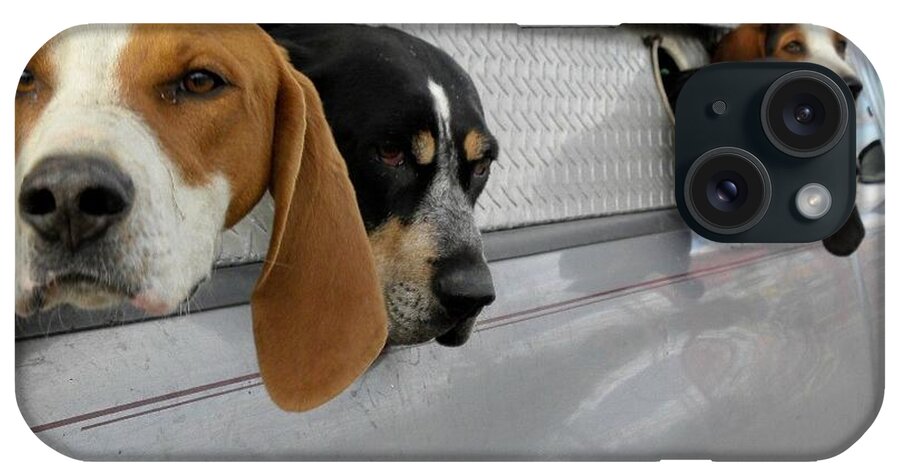 Hounds iPhone Case featuring the photograph A hounds life by Jewels Hamrick