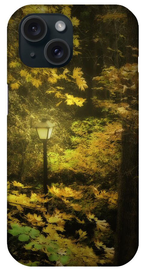 Light iPhone Case featuring the photograph A Light In the Autumnal Forest by Diane Schuster