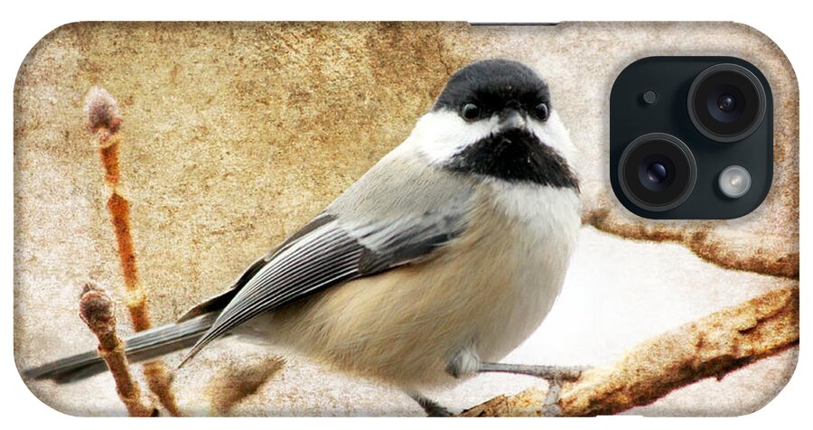 Bird iPhone Case featuring the photograph A Little Bird Told Me II by Aurelio Zucco