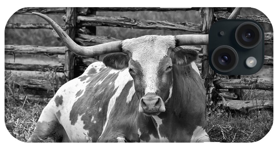 Johnson Settlement iPhone Case featuring the photograph A Lot of Bull 2 by Bob Phillips