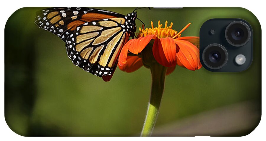 Papillon iPhone Case featuring the photograph A Monarch Butterfly 1 by Xueling Zou