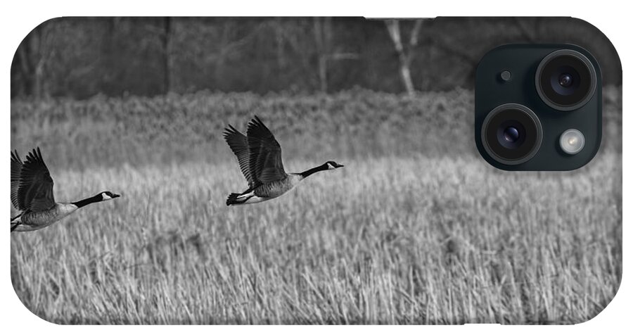 Pair Of Canada Geese iPhone Case featuring the photograph A Pair of Geese Leaving the Marsh in Black and White by Thomas Young