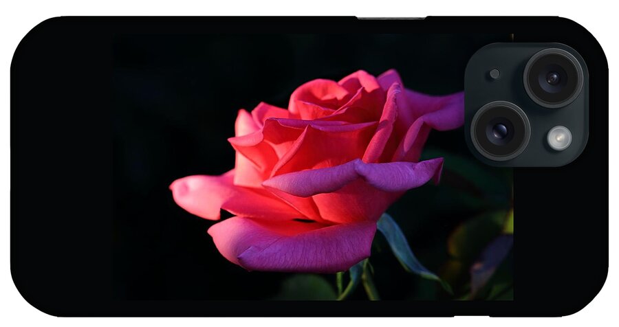 Blossom iPhone Case featuring the photograph A Rose is a Rose by David Andersen