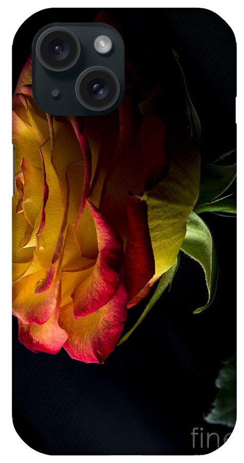 Rose iPhone Case featuring the photograph A Rose Story 2 by David Haskett II