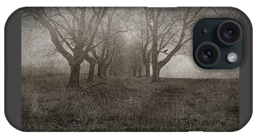 Full Moon iPhone Case featuring the photograph A Scene From Annandale by Pat Abbott