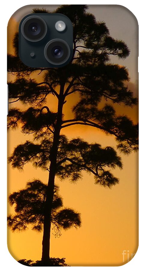 A Single Tree Standing Tall At Sunset - Isn't Nature Beautiful! iPhone Case featuring the photograph A single tree standing tall at sunset. Nature is so beautiful. by Robert Birkenes