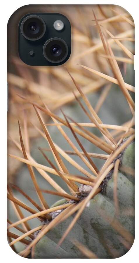 Cactus iPhone Case featuring the photograph A Spiny Situation by Amy Gallagher