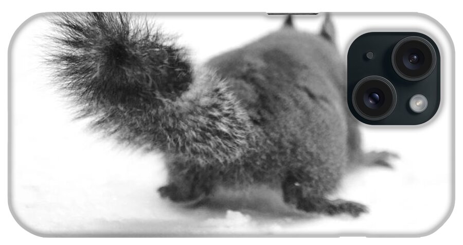 Squirrel iPhone Case featuring the photograph A Squirrel in the Snow II by Daniel Woodrum