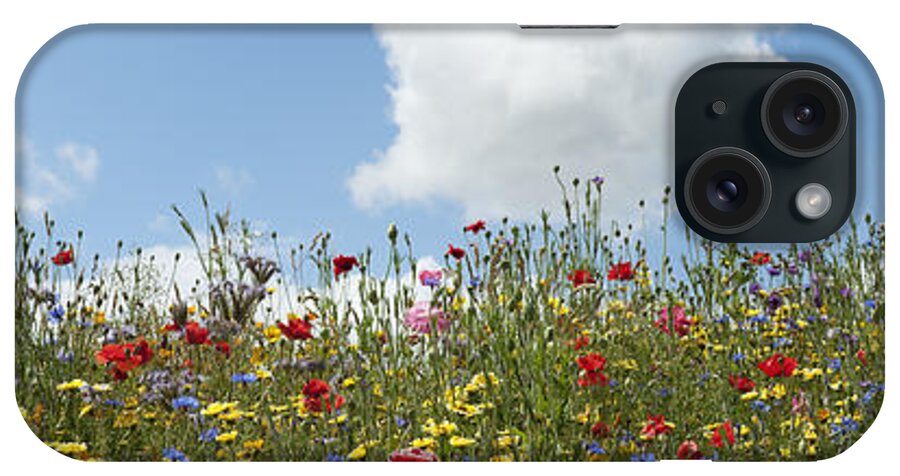 Wildflowers iPhone Case featuring the photograph A Summers Day by Tim Gainey