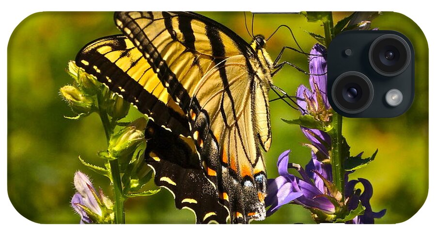 Colorful Butterfly And Purple Flowers iPhone Case featuring the photograph A Warm September Day in the Garden by Byron Varvarigos