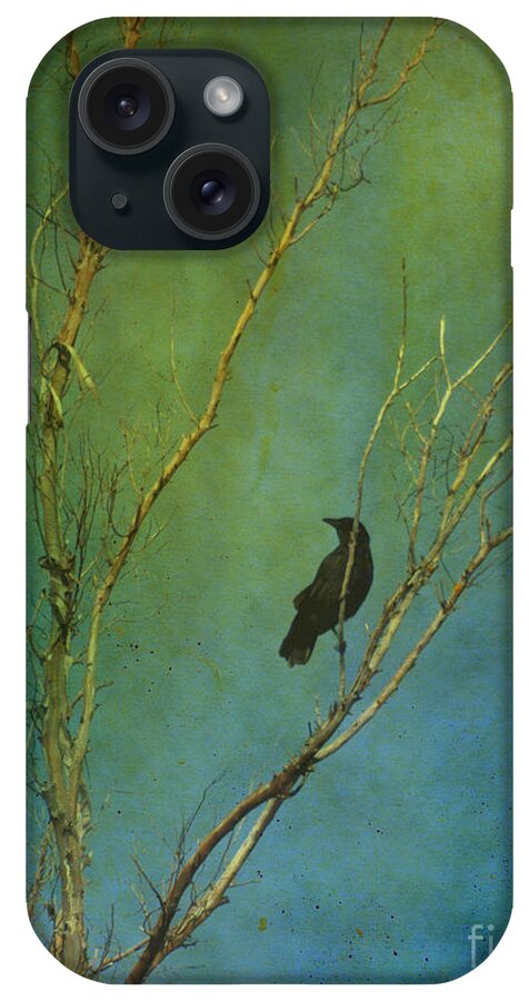 Raven iPhone Case featuring the photograph A Watchful Eye by Jacklyn Duryea Fraizer