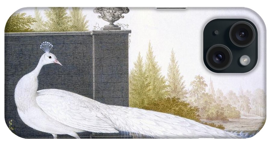 Peacock iPhone Case featuring the painting A White Peahen by English School