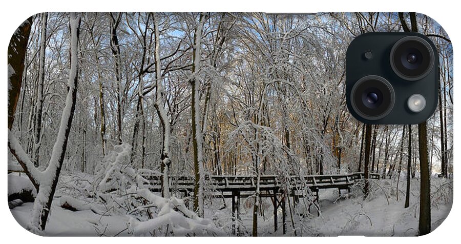 Salani iPhone Case featuring the photograph A Winter Scene by Raymond Salani III