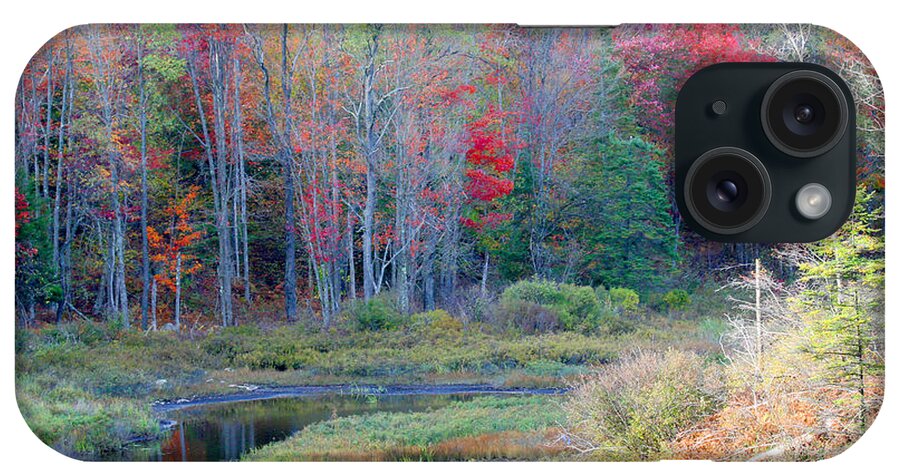 Trees iPhone Case featuring the photograph Adirondack Fall by Mariarosa Rockefeller