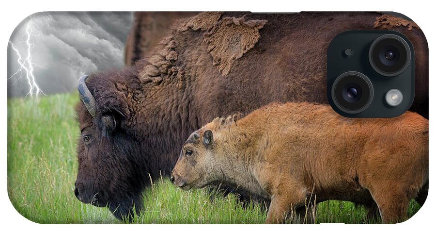 Horned iPhone Case featuring the photograph Adult And Baby Bison In A Stormy Meadow by Dean Fikar