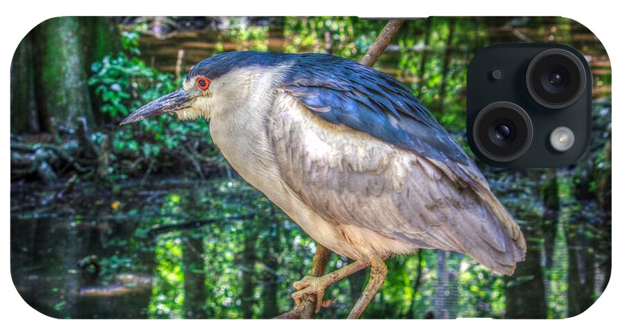 Adult iPhone Case featuring the photograph Adult Nycticorax Nycticorax by Traveler's Pics