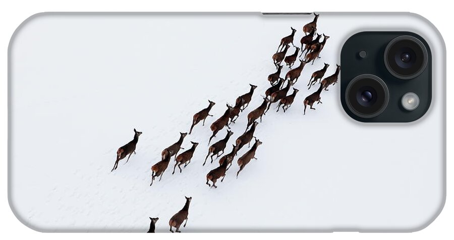 Scenics iPhone Case featuring the photograph Aerial Photo Of A Herd Of Deer Running by Dariuszpa