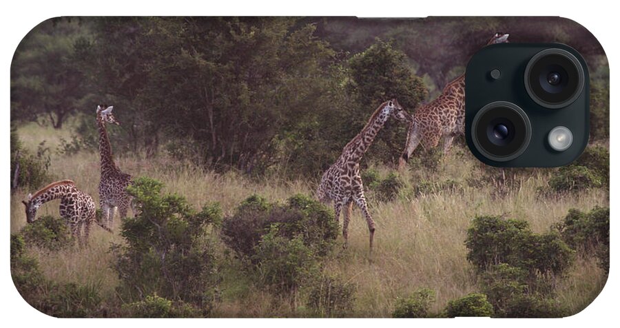 Giraffe iPhone Case featuring the photograph Africa Dream by Joseph G Holland