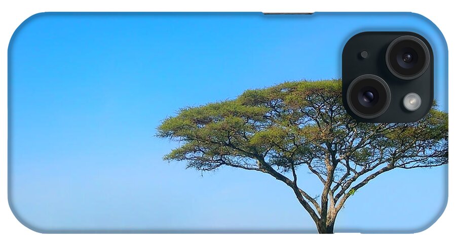 Africa iPhone Case featuring the photograph Africa by Sebastian Musial