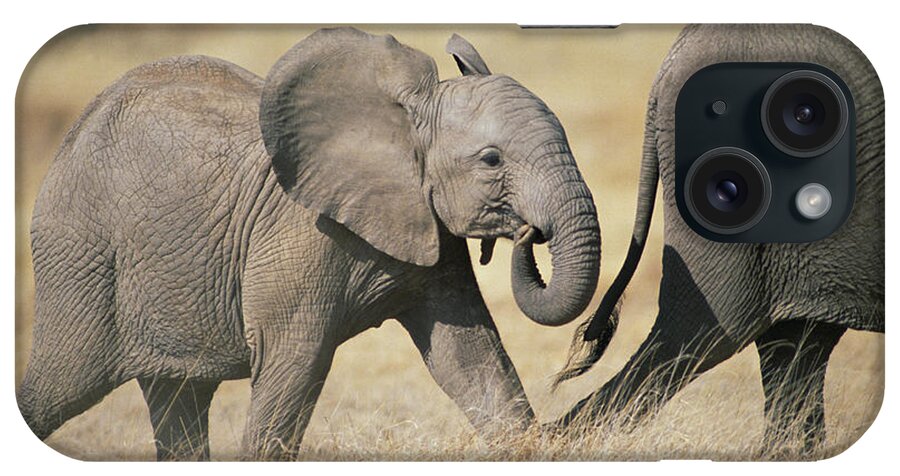 Feb0514 iPhone Case featuring the photograph African Elephant Baby And Mother by Gerry Ellis