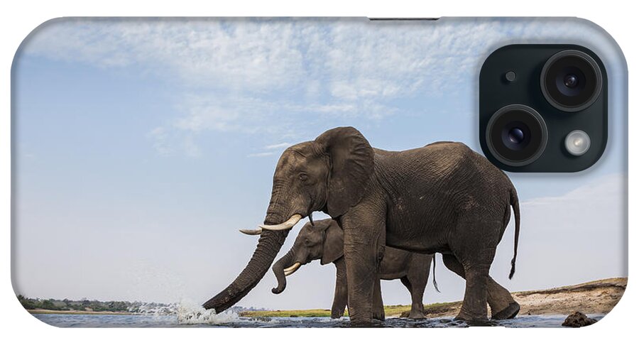 Vincent Grafhorst iPhone Case featuring the photograph African Elephant Bulls Drinking Botswana by Vincent Grafhorst