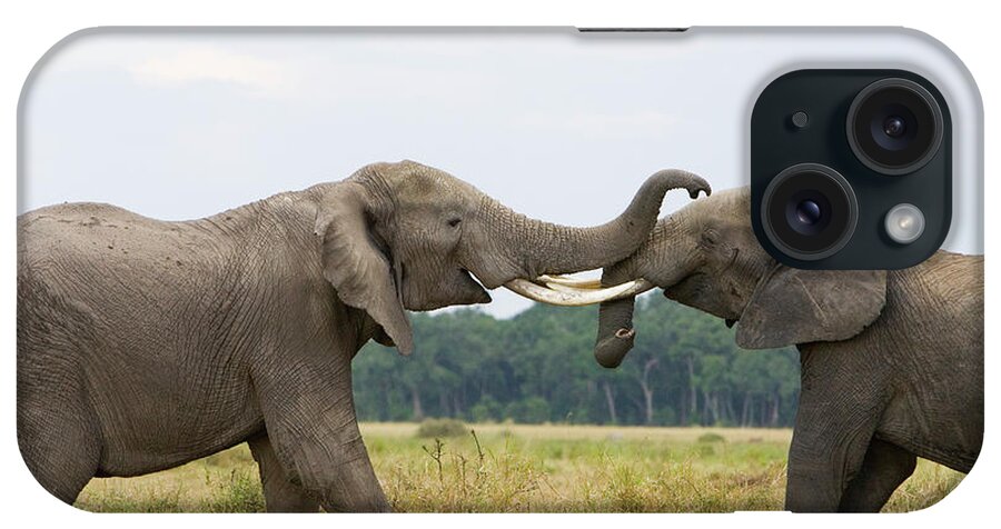 00784026 iPhone Case featuring the photograph African Elephant Bulls Fighting by Suzi Eszterhas