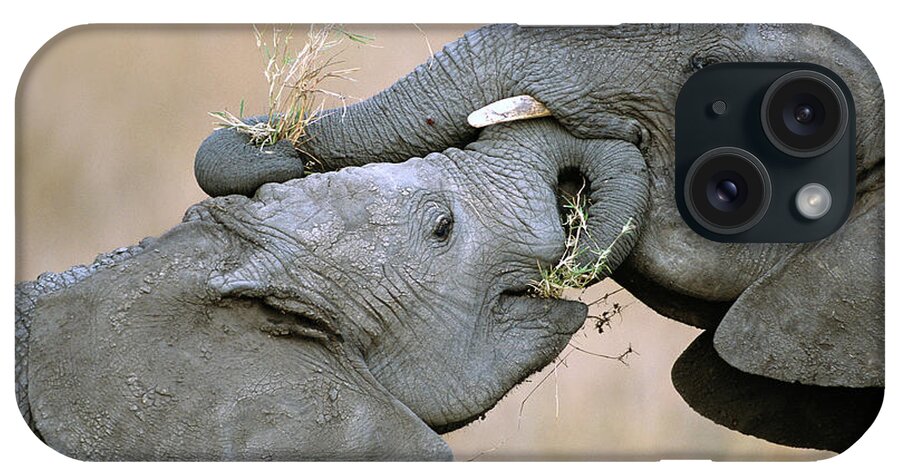 00344808 iPhone Case featuring the photograph African Elephant Calves Playing by Yva Momatiuk and John Eastcott