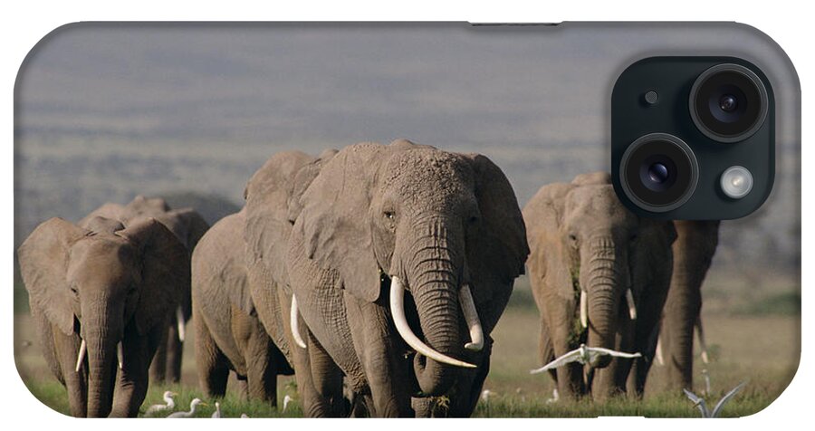 Feb0514 iPhone Case featuring the photograph African Elephant Herd Amboseli Kenya by Gerry Ellis