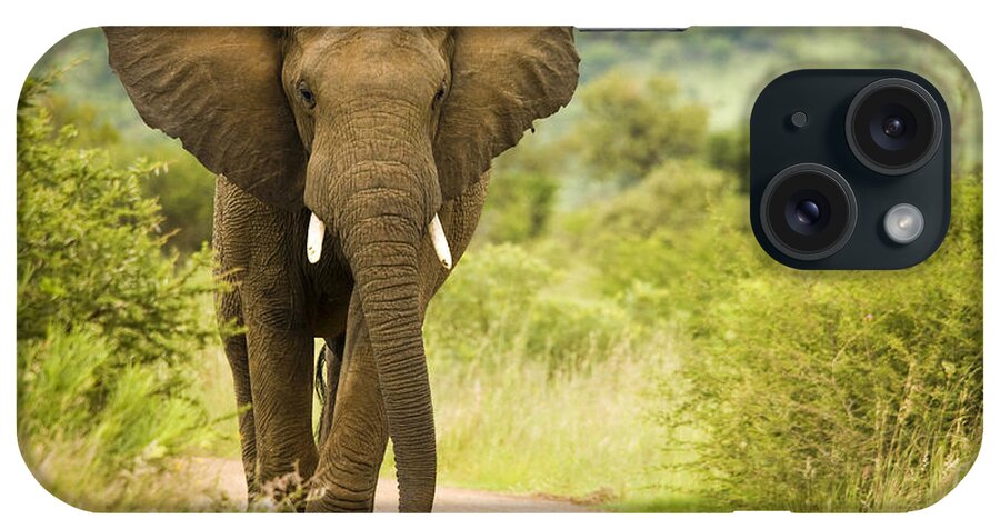 Elephant iPhone Case featuring the photograph African elephant by Linette Simoes