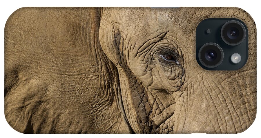 Feb0514 iPhone Case featuring the photograph African Elephant by San Diego Zoo