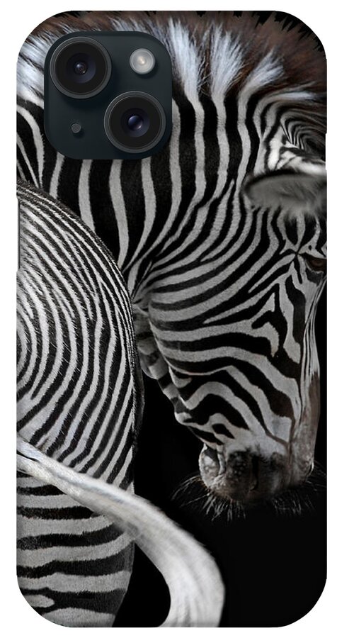 Animal iPhone Case featuring the photograph african stripes II by Joachim G Pinkawa