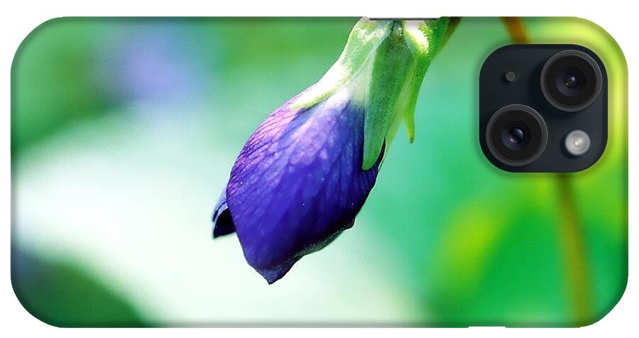 African Violet iPhone Case featuring the photograph African Violet by Phil Spitze